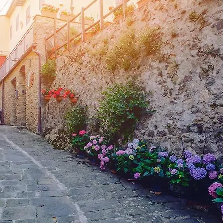 Nocleg ze śniadaniem Castello 4*